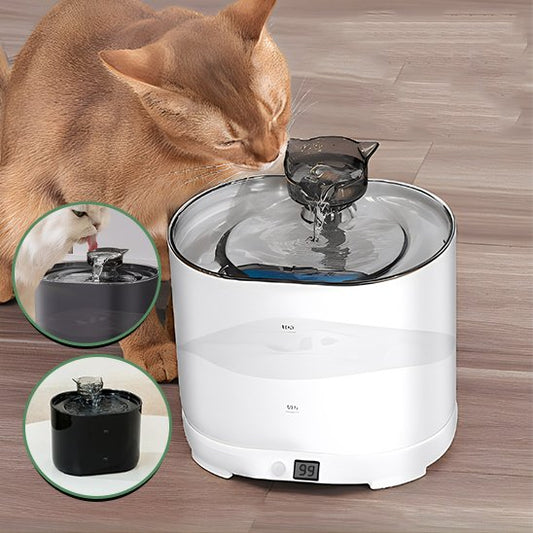 Fontaine à eau chat | Cascade Premium