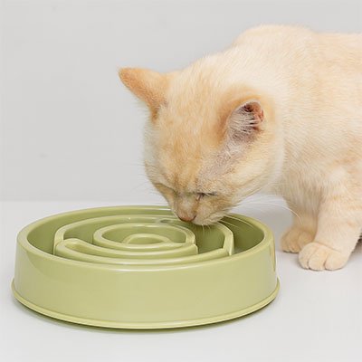 Gamelle anti glouton chat | SlowFeast