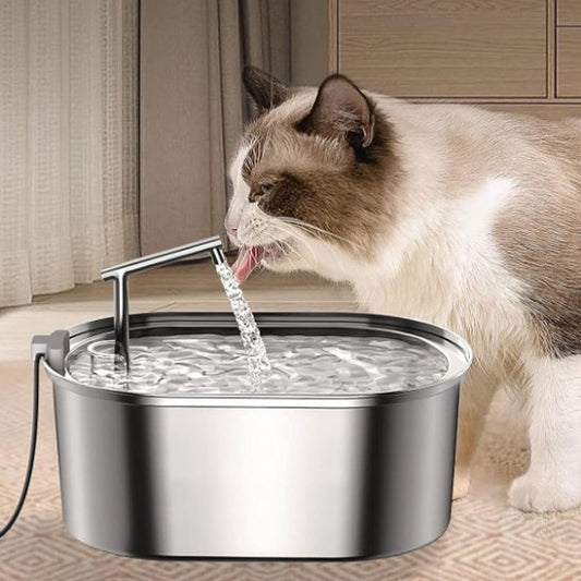 FONTAINE A EAU CHAT | Inox Santé Premium