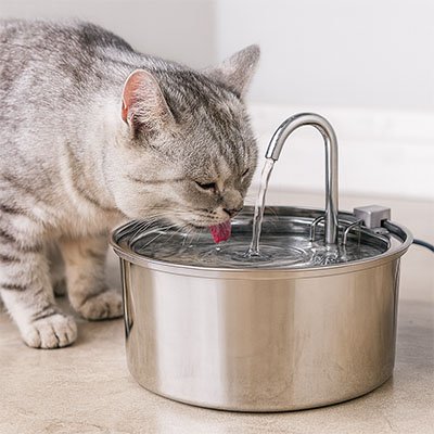 Fontaine à eau pour chat | Premium Inox