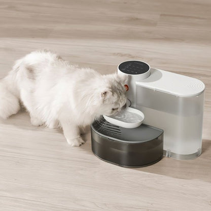 FONTAINE A EAU CHAT | SilencioFlow