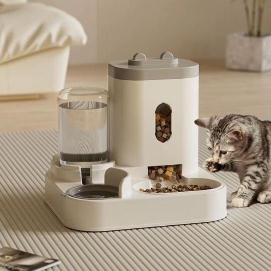 Distributeur croquette chat | Automatique