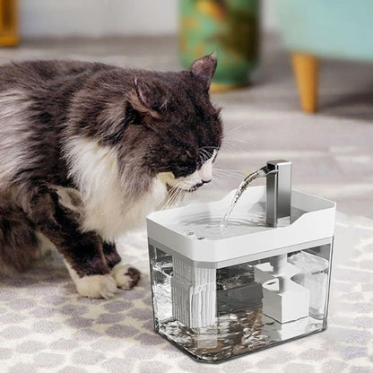 FONTAINE A EAU CHAT| FéliFresh