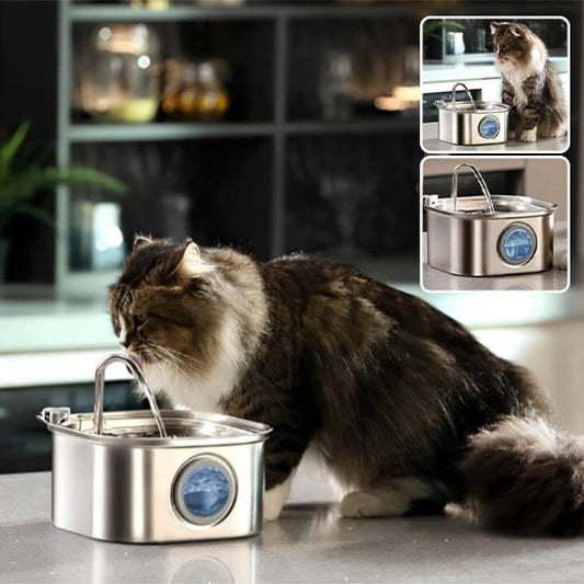 FONTAINE A EAU CHAT | Inox Santé