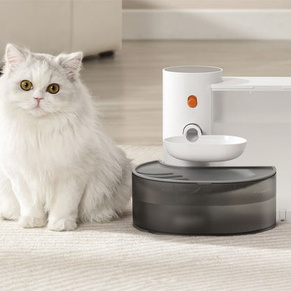 FONTAINE A EAU CHAT | SilencioFlow