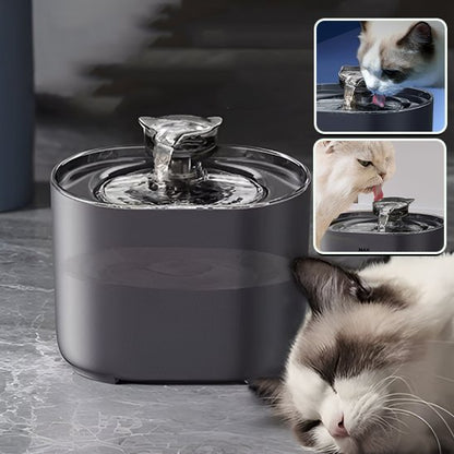 Fontaine à eau chat | Cascade Premium