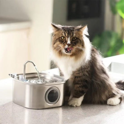 FONTAINE A EAU CHAT | Inox Santé