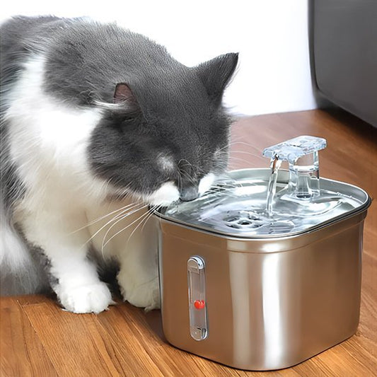 Fontaine a eau chat | FraîchVital - Ma boutique