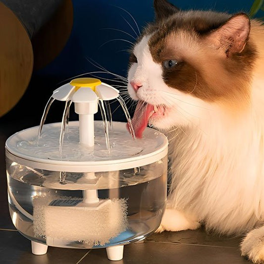 Fontaine à eau chat | HydraVital